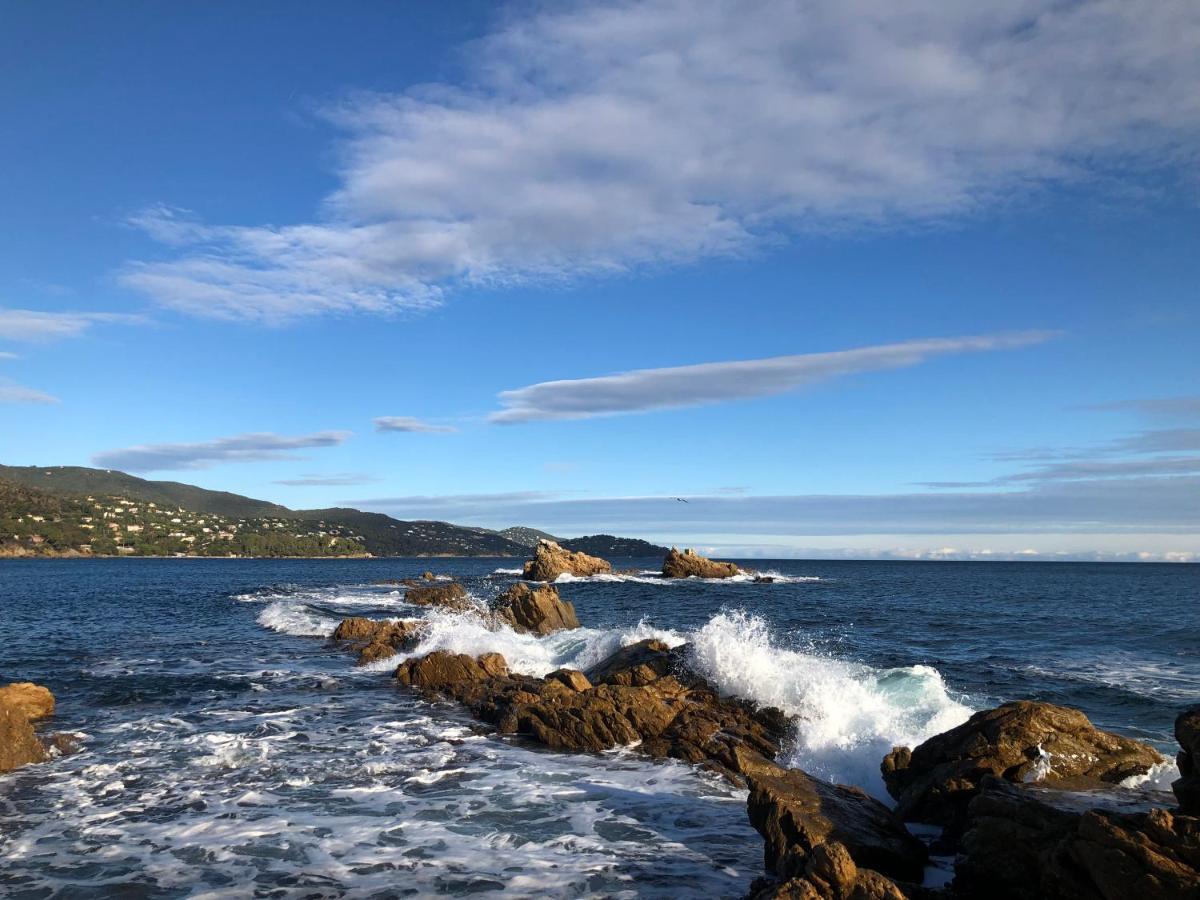 Mer Et Soleil Bormes-les-Mimosas Buitenkant foto